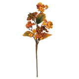 Bittersweet Berry Cluster Spray