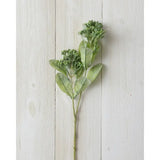 Seeded Foilage