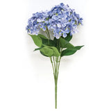 Small Blue Hydrangea Bush