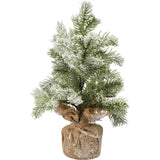Small Snow Covered Tree