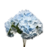 18" Blue Hydrangea Bush