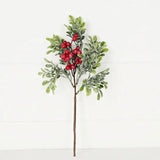 14" Sparkle Boxwood w/ Red Berry