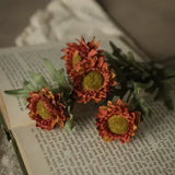 11" Burnt Orange Strawflower Pick