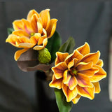 Yellow Butterfly Dahlia