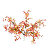 24" Tweedia Bush