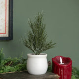 Vail Tree in a Pot