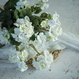 19.5 Geranium Bush-White