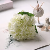 White Hydrangea Flower Head