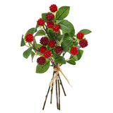 Wild Raspberry Bundle