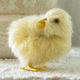 3.5" Yellow Chick
